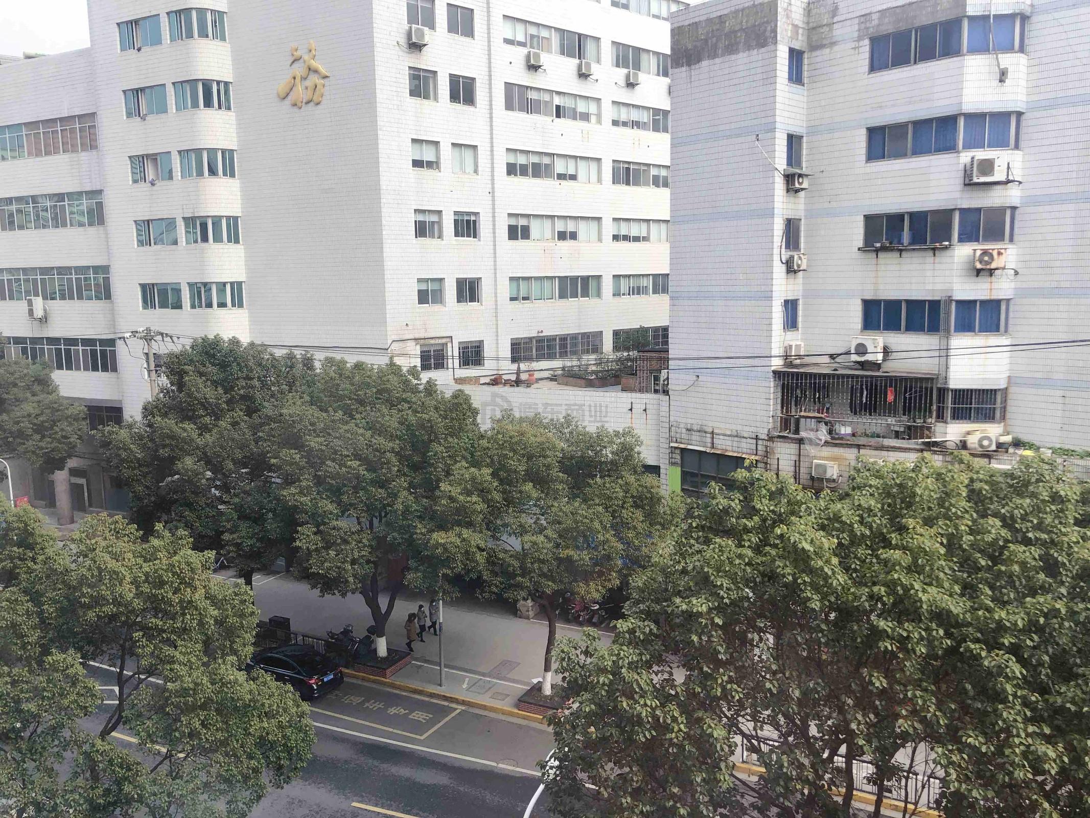 新鼎球大厦面积100平