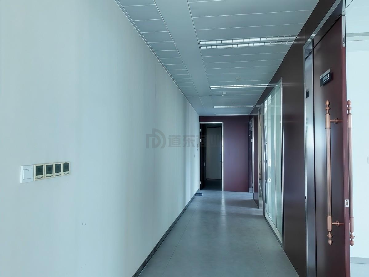 上海中心城开国际面积619平