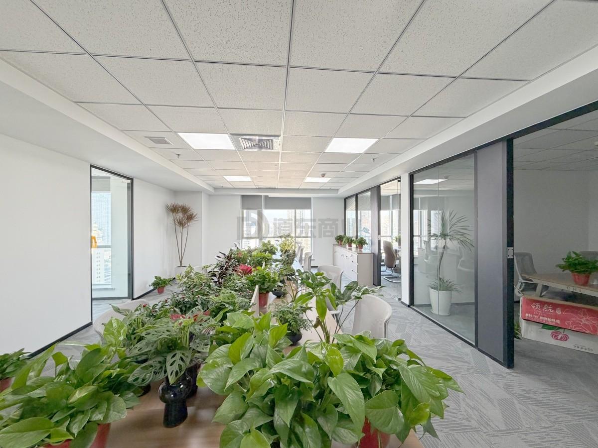 金陵饭店面积147平