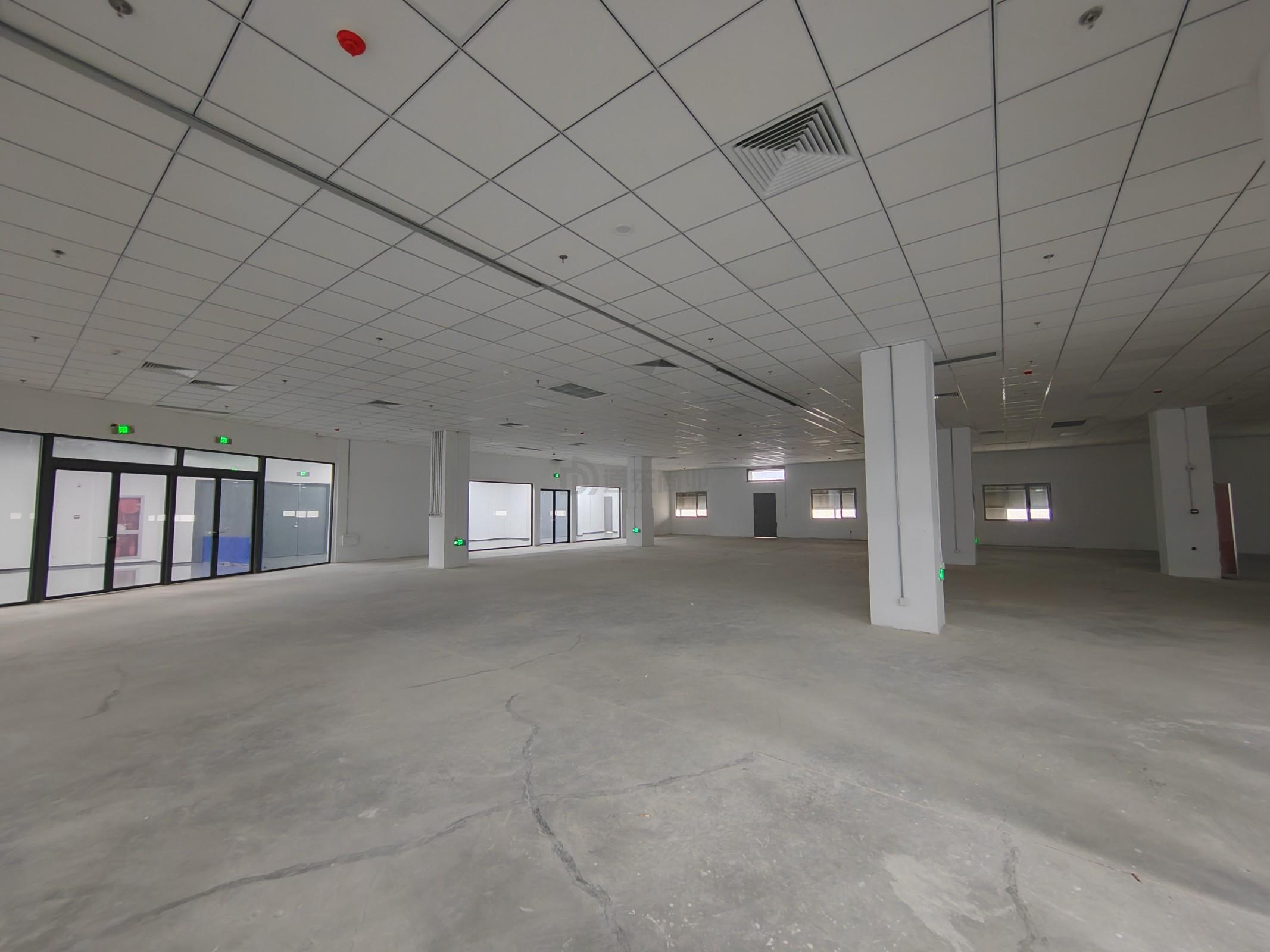 CCK韩国馆面积5000平