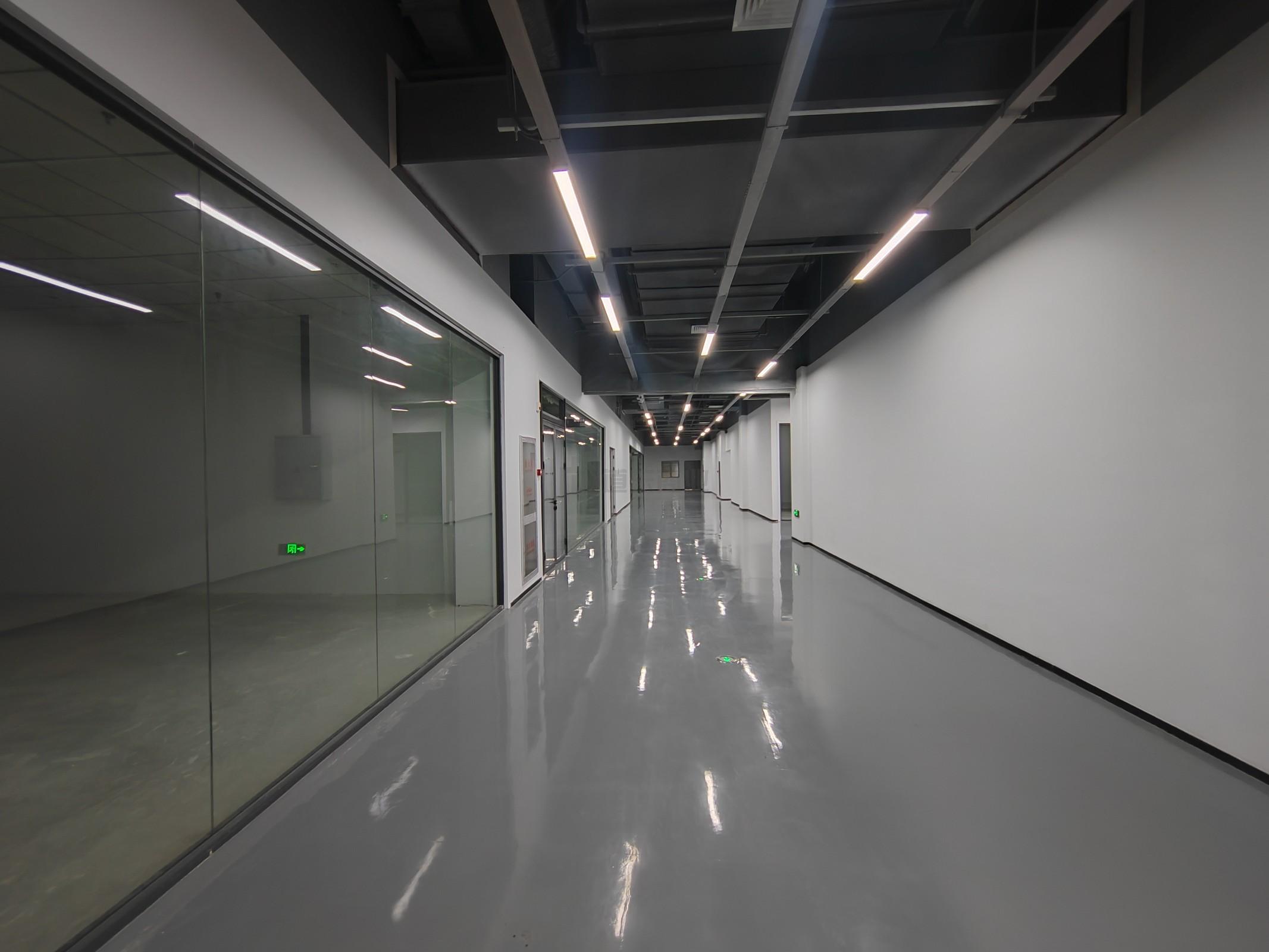 CCK韩国馆面积5000平