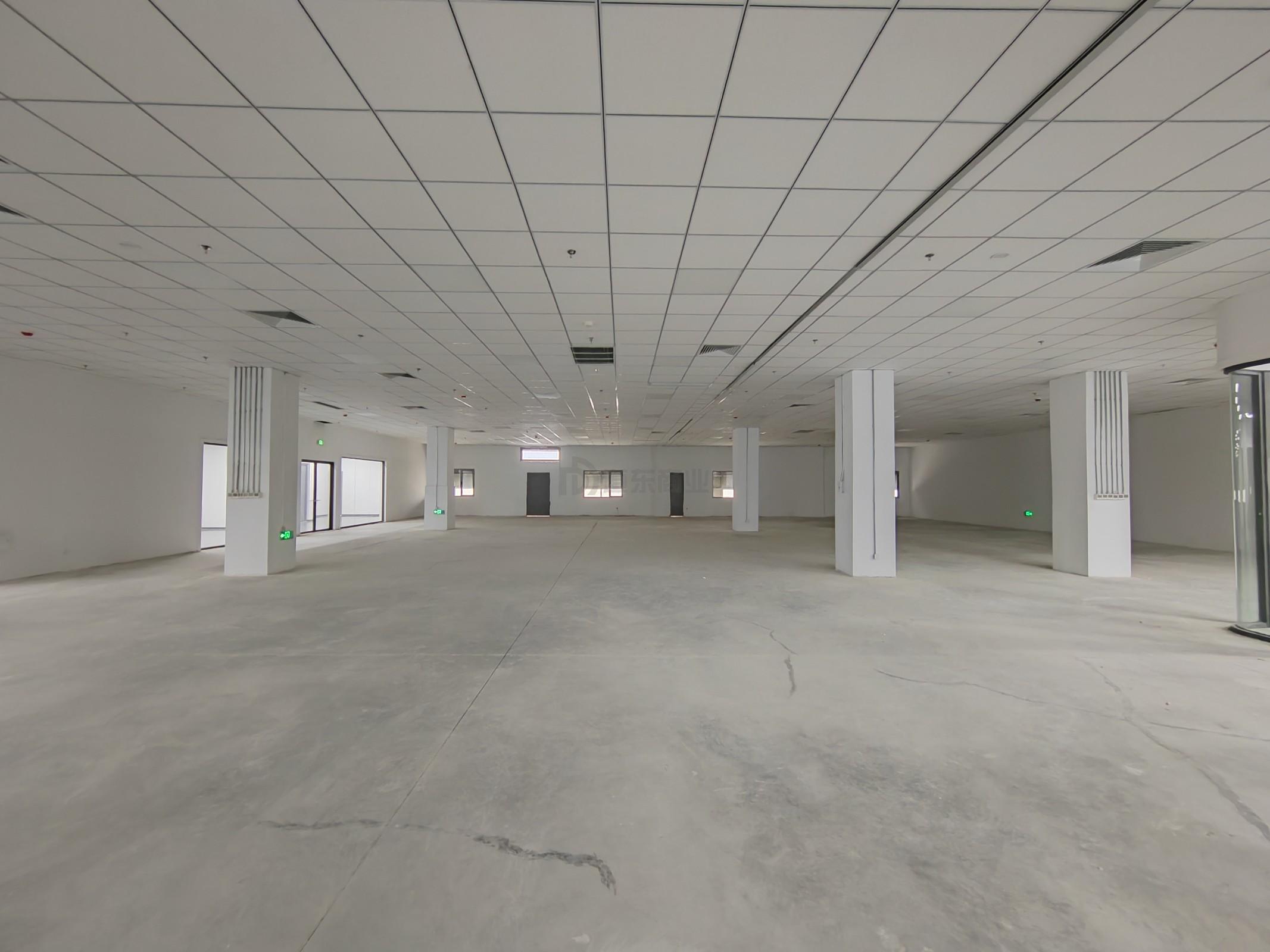 CCK韩国馆面积5000平