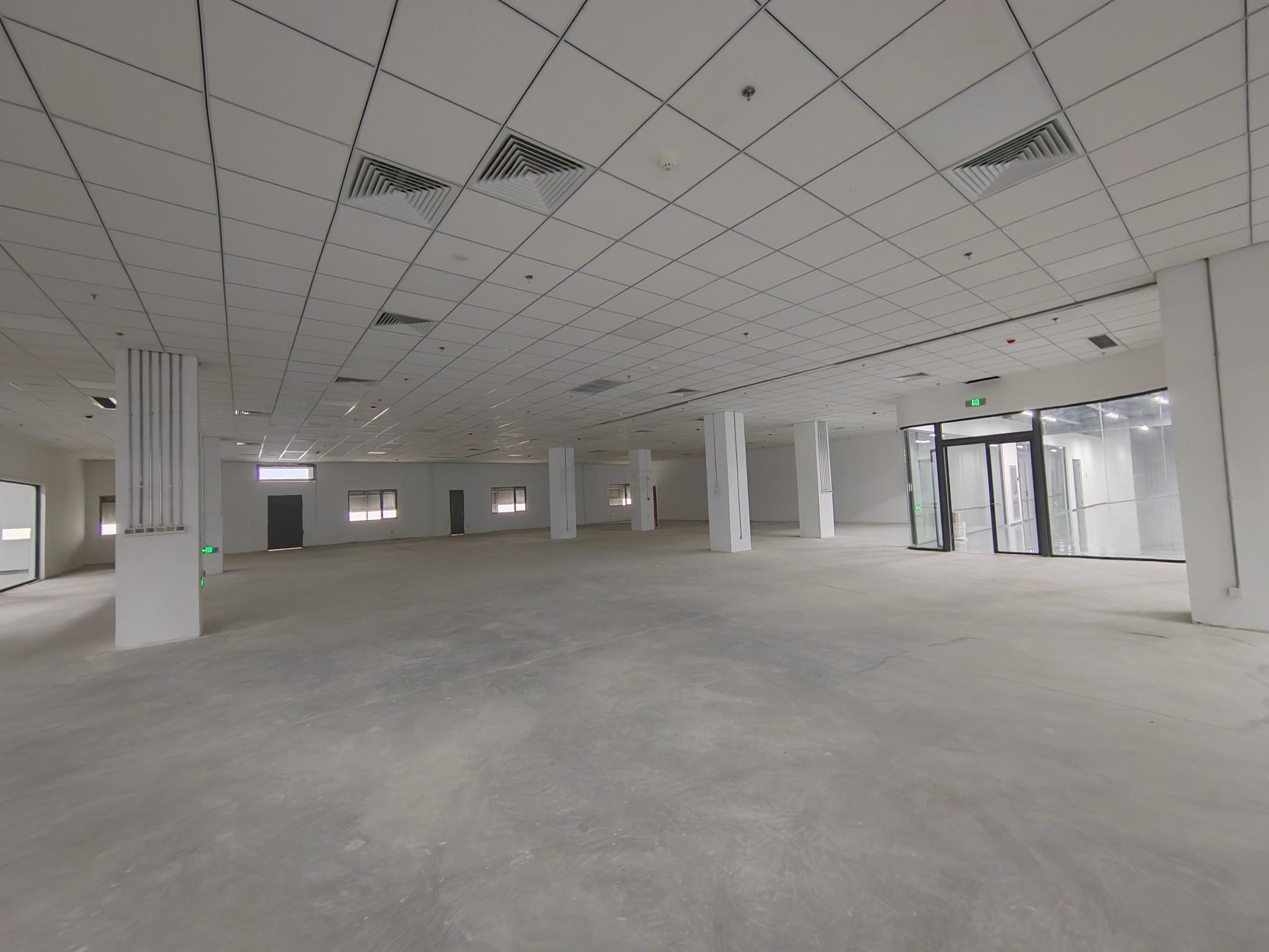 CCK韩国馆面积5000平