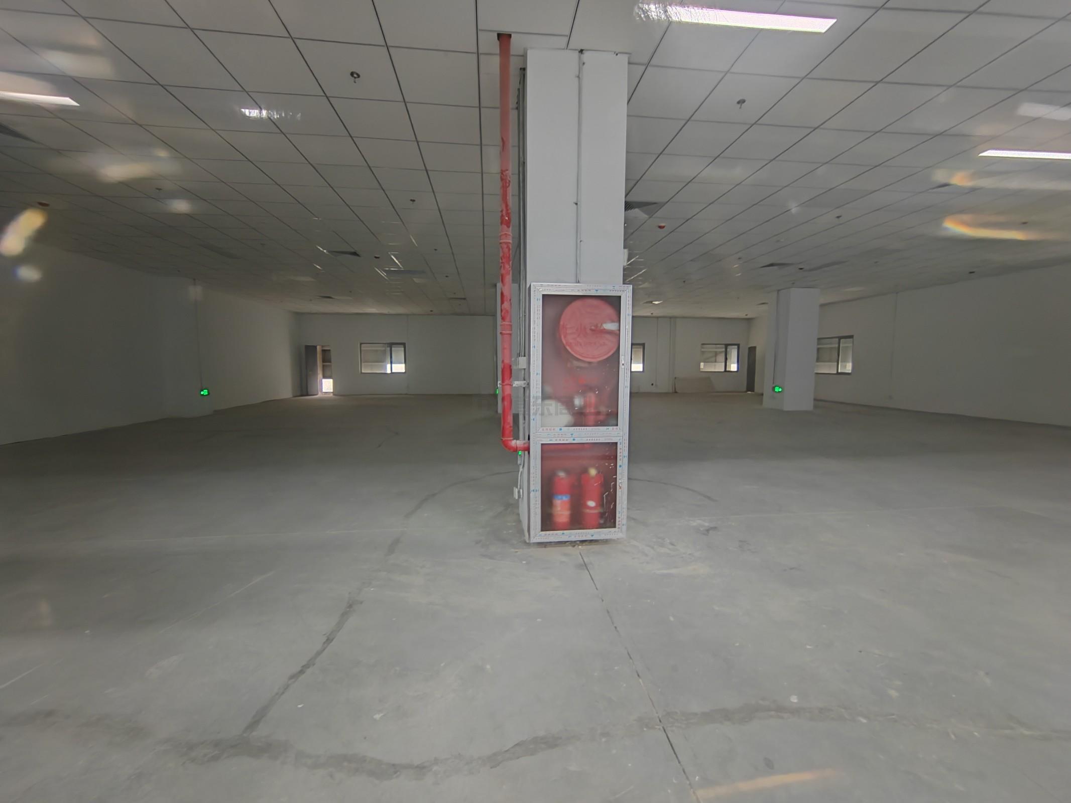 CCK韩国馆面积5000平